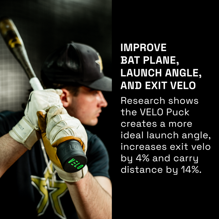 Velo Puck Bat Weight