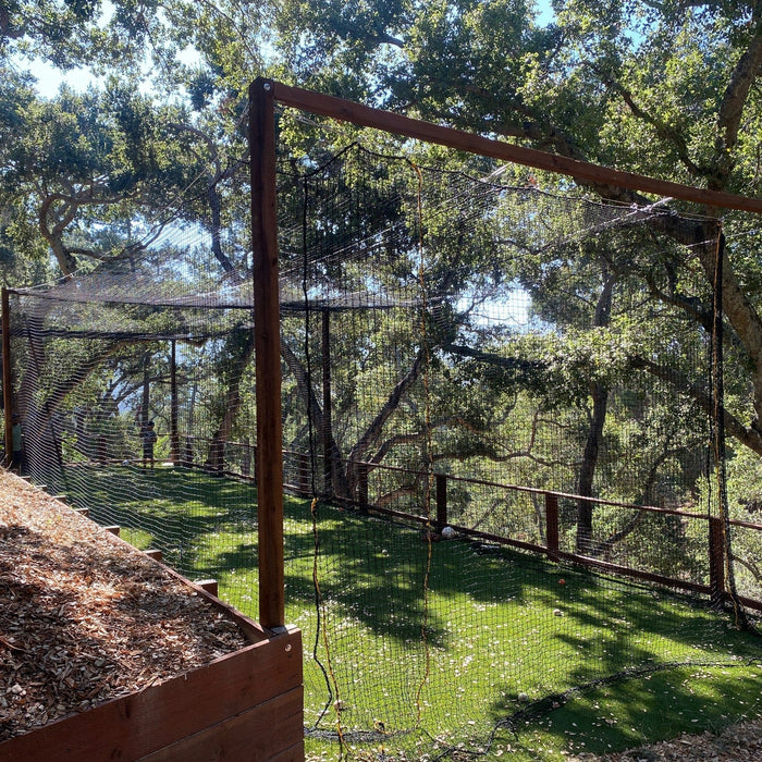 Cool Custom Backyard Batting Cage Setup