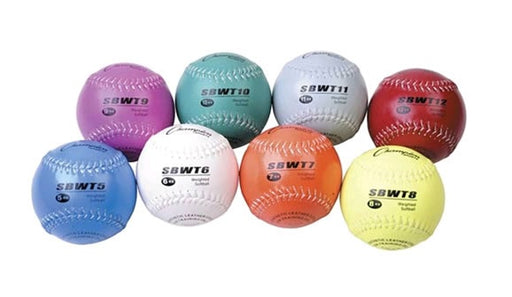 Weighted Training Softballs Set