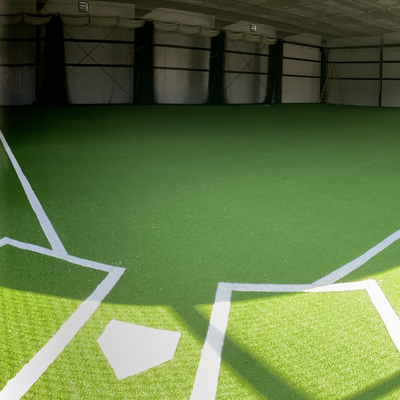 Wide Selection of Batting Cage Turf!