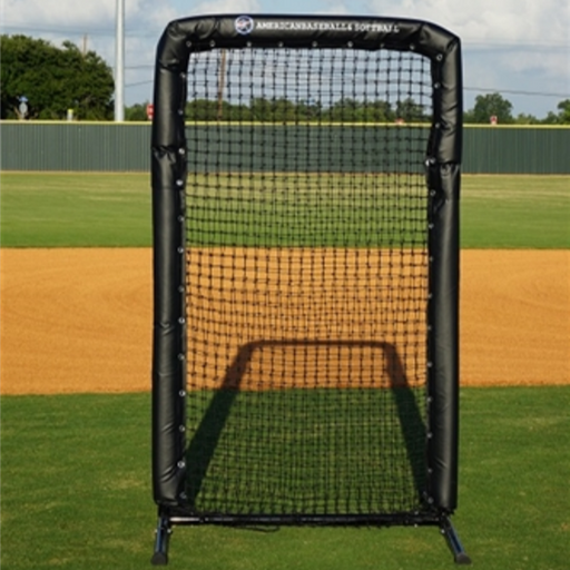 6x4 Safety Screen #96 Replacement Net Only