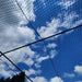 #36 Poly Batting Cage Nets